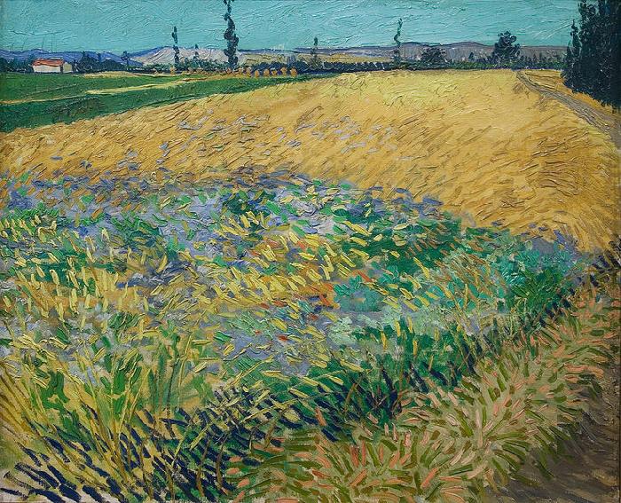unknow artist Vincent van Gogh Wheatfield oil painting picture